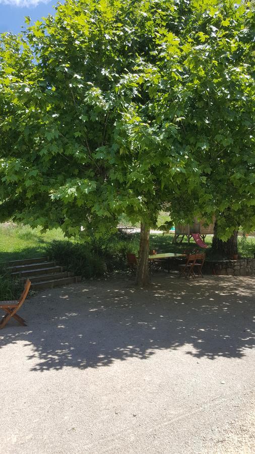 Le Saule Reveur Bed and Breakfast Die Esterno foto